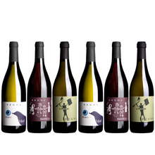 Load image into Gallery viewer, Bruna Mixed Pack