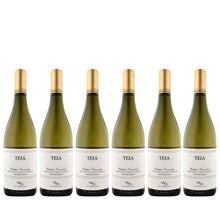 Load image into Gallery viewer, 2022 Villanoviana 'Teia' Bianco