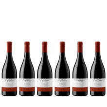 Load image into Gallery viewer, 2018 Cavazza 'Corallo' Tai Rosso