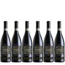 Load image into Gallery viewer, 2019 Villa Annaberta Amarone della Valpolicella