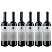 Load image into Gallery viewer, 2020 Orlando Abrigo Meruzzano