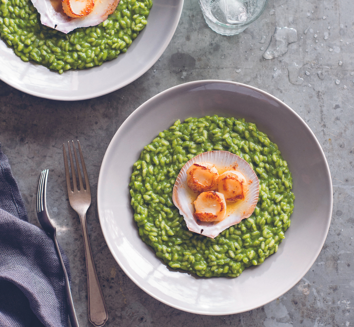Spinach and nettle risotto with sea scallops