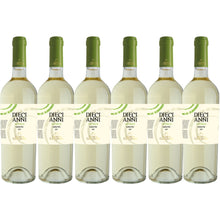 Load image into Gallery viewer, 2024 Feudi di Guagnano Cuccimanne Verdeca
