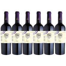 Load image into Gallery viewer, 2022 Feudi di Guagnano Diecianni Negroamaro IGP
