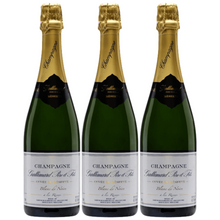 Load image into Gallery viewer, Champagne Gallimard Cuvee de Reserve Blanc de Noirs NV
