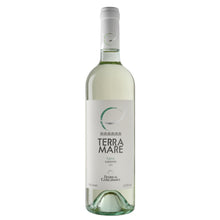 Load image into Gallery viewer, 2021 Feudi di Guagnano Terramare Fiano 
