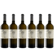 Load image into Gallery viewer, 2023 Feudi di Guagnano &#39;Dieci Anni&#39; Chardonnay
