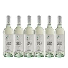 Load image into Gallery viewer, 2024 Feudi di Guagnano Terramare Fiano
