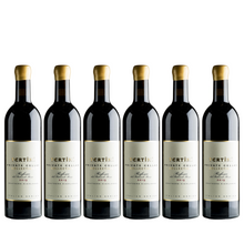 Load image into Gallery viewer, 2019 Tertini Private Cellar Collection Refosco
